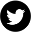 twitter-logo